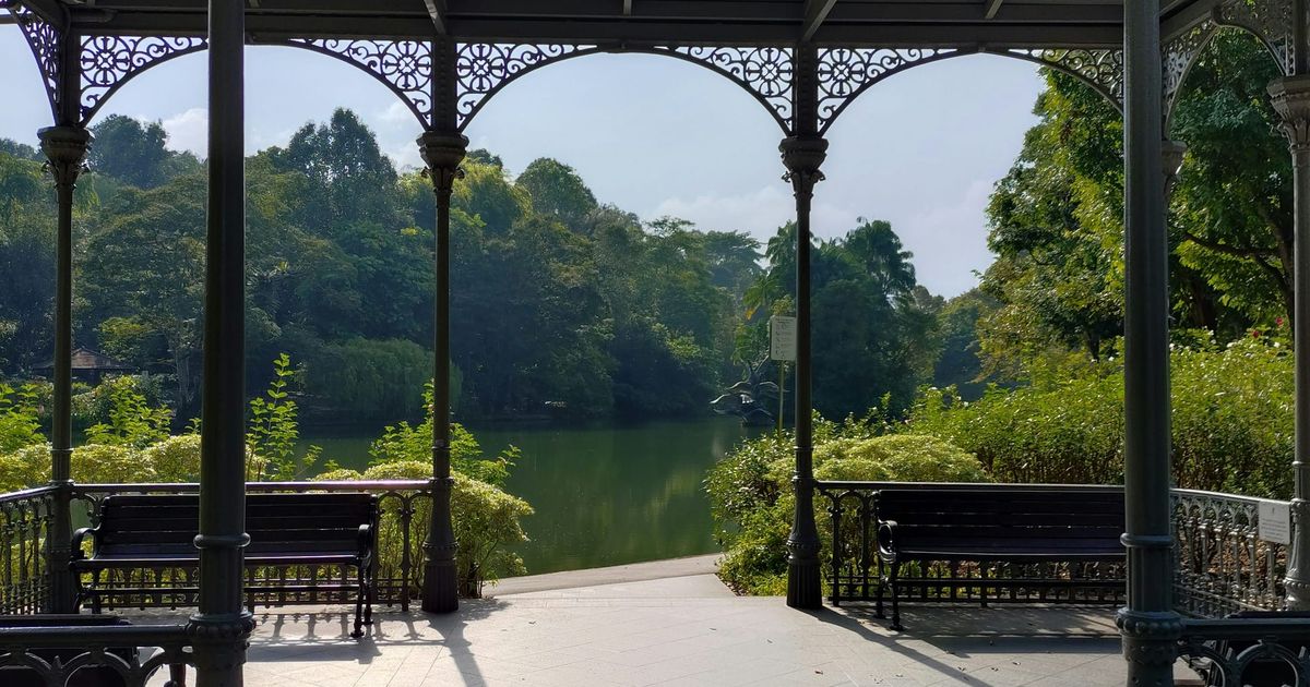 Greenery at Singapore Botanic Gardens near Watten Estate
