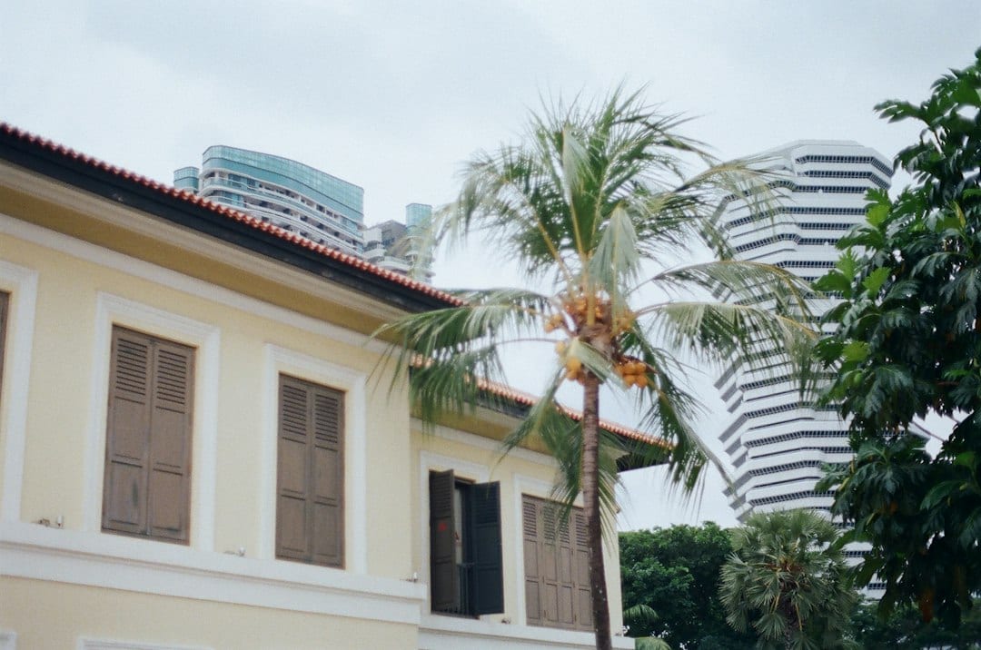Wide view of a District 11 landed home with palms and soft daylight