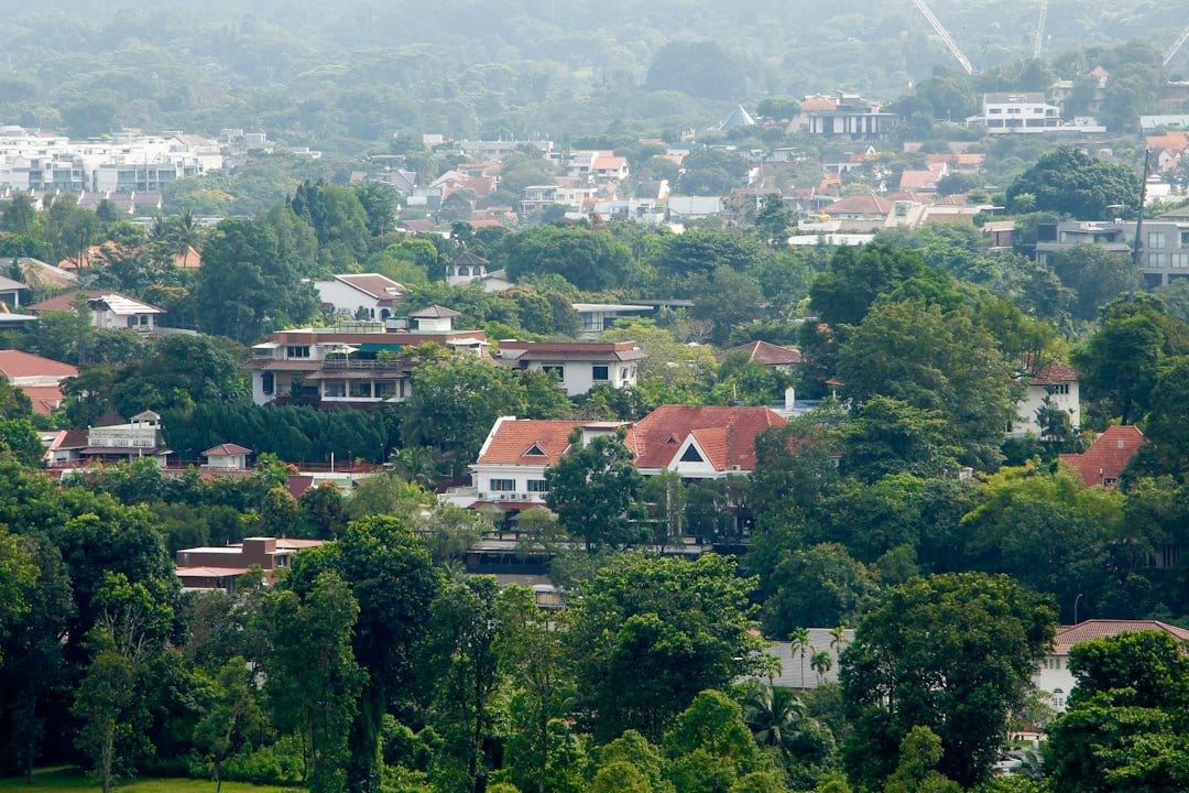 Wide street view of District 11 landed homes